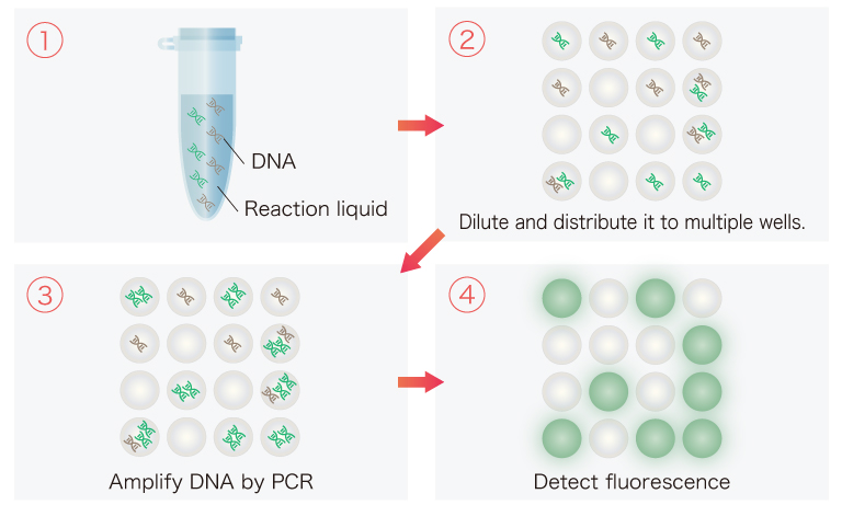 Measurement flow of the Digital PCR