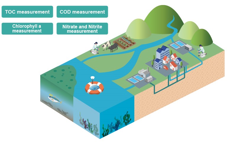Water quality assessment parameters