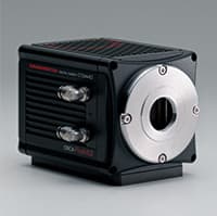 Camera for microscope imaging